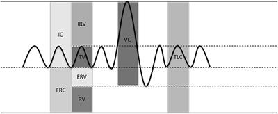 Telemonitoring Techniques for Lung Volume Measurement: Accuracy, Artifacts and Effort